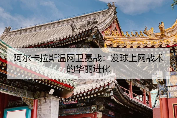 a-er-ka-la-si-wen-wang-wei-mian-zhan-fa-qiu-shang-wang-zhan-shu-de-hua-li-jin-hua-2-910.jpg